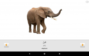 Arapça kelimeleri öğrenin ile Smart-Teacher screenshot 11