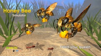 Honey Bee Simulator screenshot 9