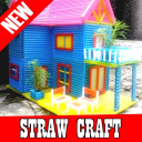 80+Top ideas from straw craft