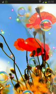 Summer 3D Poppies HD LWP screenshot 1