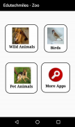 Animals and Birds screenshot 1