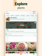 Plantum - 植物识别，叶子、花卉和树木护理 screenshot 9
