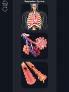 Respiratory System Anatomy screenshot 2