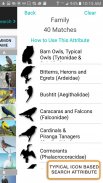 iBird Lite Free Guide to Birds screenshot 7