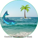 GASHUA MFB MOBILE BANKING