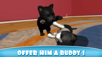 Daily Kitten : आभासी बिल्ली screenshot 4