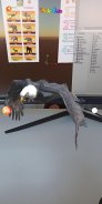 AR Wild Animals | Augmented Reality Wild Animals screenshot 7