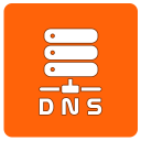 Changer DNS Pro Icon