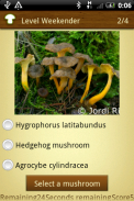 Mushroom - Mushtool screenshot 3