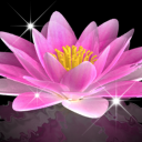 Water Lily Bell LWP Trial Icon