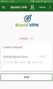 Brand VPN screenshot 2