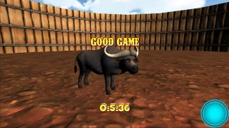 Rodeo Buffalo 3D screenshot 0