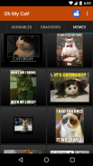 Cat wallpapers and funny pics screenshot 6