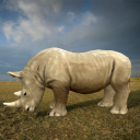 Wild Rhino Family Jungle Simulator Icon