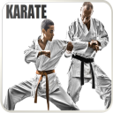 Karate Icon