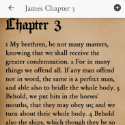 Holy Bible screenshot 2