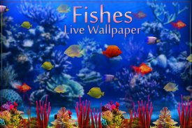 Fishes Live Wallpaper 2020 - Aquarium Koi Bgs screenshot 8