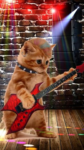 Dancing And Singing Funny Pets Funny Animals 29 0 0 7 تنزيل Apk للأندرويد Aptoide