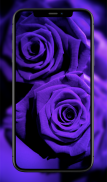 Colorful Roses Wallpapers screenshot 1