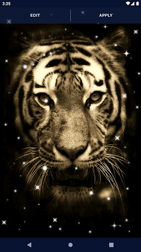 Tigers by Live Wallpaper HD 3D live wallpaper for Android. Tigers