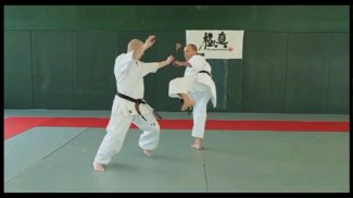 Kyokushin - FREE screenshot 0