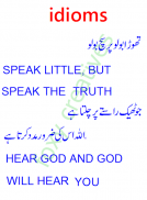 Idioms with Urdu trans. screenshot 2