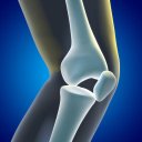 Rodilla Ap Icon