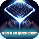 Database Management Systems Icon