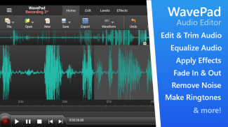 WavePad Audio Editor Free screenshot 14
