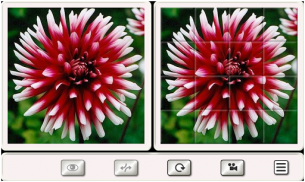 Guess the Flower: Tile Puzzles screenshot 2