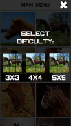 Horse Slide Puzzle screenshot 0