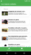 Como cuidar a un perro screenshot 3