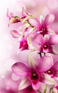 Orchidee Hintergrundbilder screenshot 6