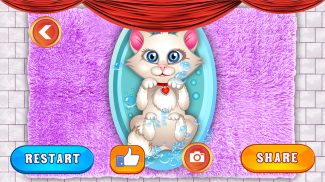 Kitty Cat Pop: Virtual Pet Grooming E Vestir screenshot 4