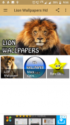 Lion Wallpapers HD screenshot 7