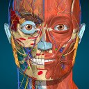Anatomy Learning – Atlas de anatomia 3D