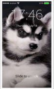 Husky Puppy HD Free PIN Lock screen Passcode screenshot 4
