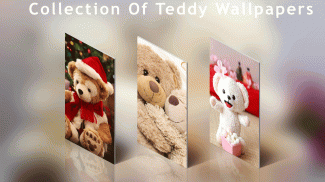 Teddy Bear Wallpaper HD screenshot 1