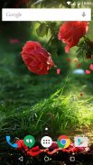 Red Rose Flower Live Wallpaper screenshot 2