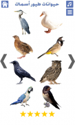 حيوانات طيور واسماك | اصوات الطيور والحيوانات screenshot 1