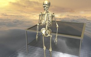 Body Disassembly 3D screenshot 1