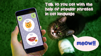 Cat Language Translator Simulator - Talk to Pet screenshot 0