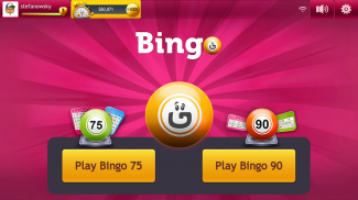 Bingo by GameDesire screenshot 1