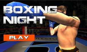 Boxing Night 3D screenshot 1