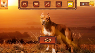 Pitbull Dog Simulator screenshot 14