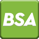 BSA Body Surface Area Icon