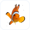 Fish Live Wallpaper Theme HD Icon