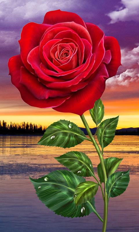 HD Rose Flowers Live Wallpaper - APK Download for Android | Aptoide