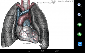 Visual Anatomy Lite screenshot 0