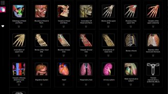 Anatomy Learning - 3D Anatomy screenshot 4